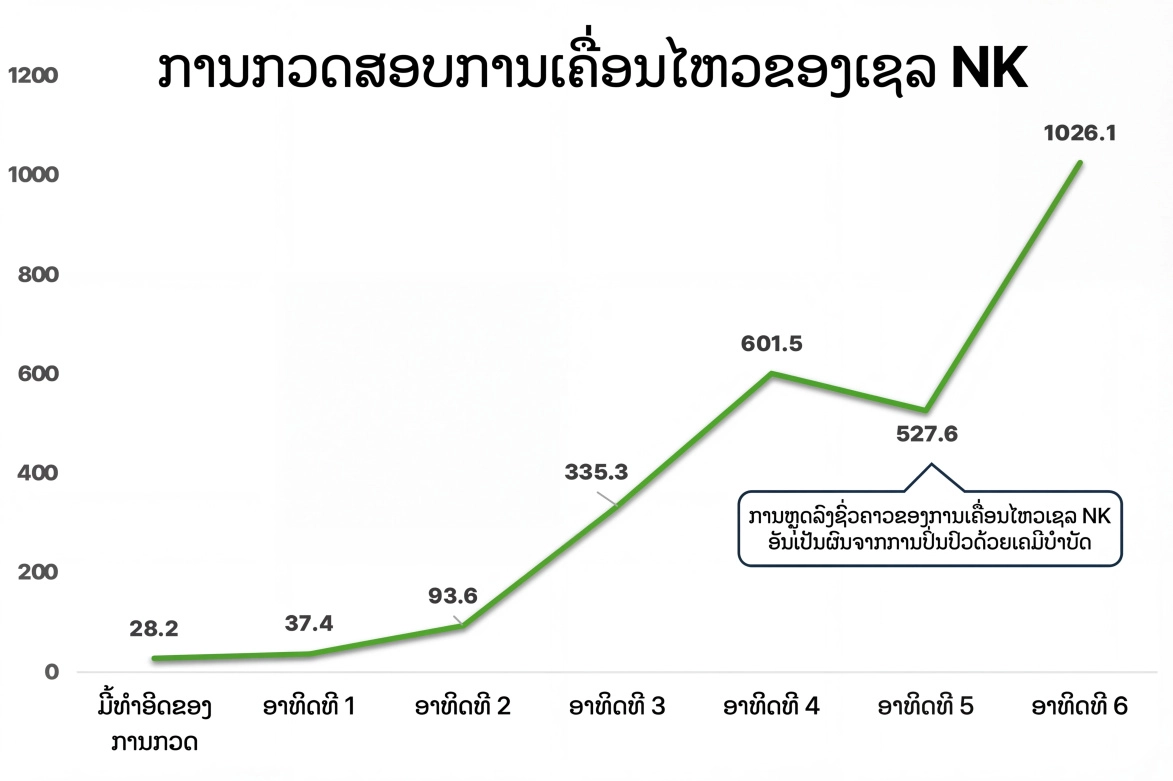 ກຣາບການເຄື່ອນໄຫວຂອງເຊລ NK