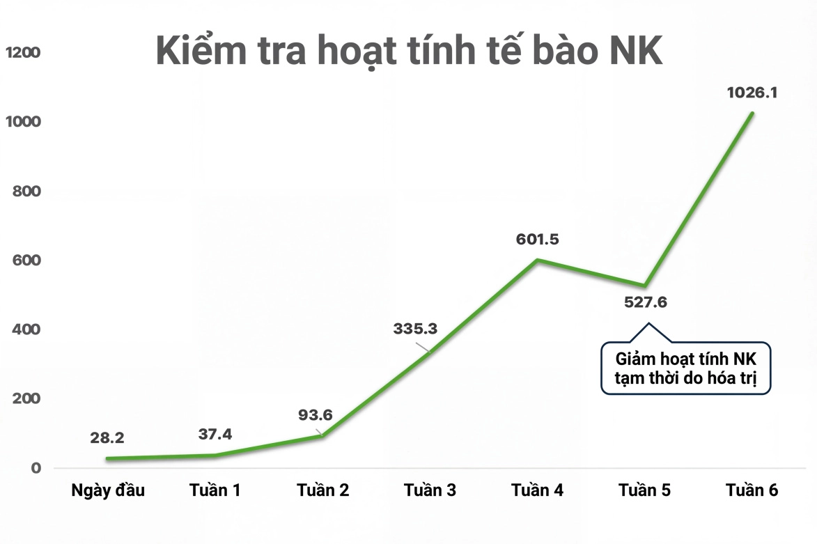 Biểu đồ hoạt động tế bào NK